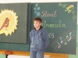 slvik